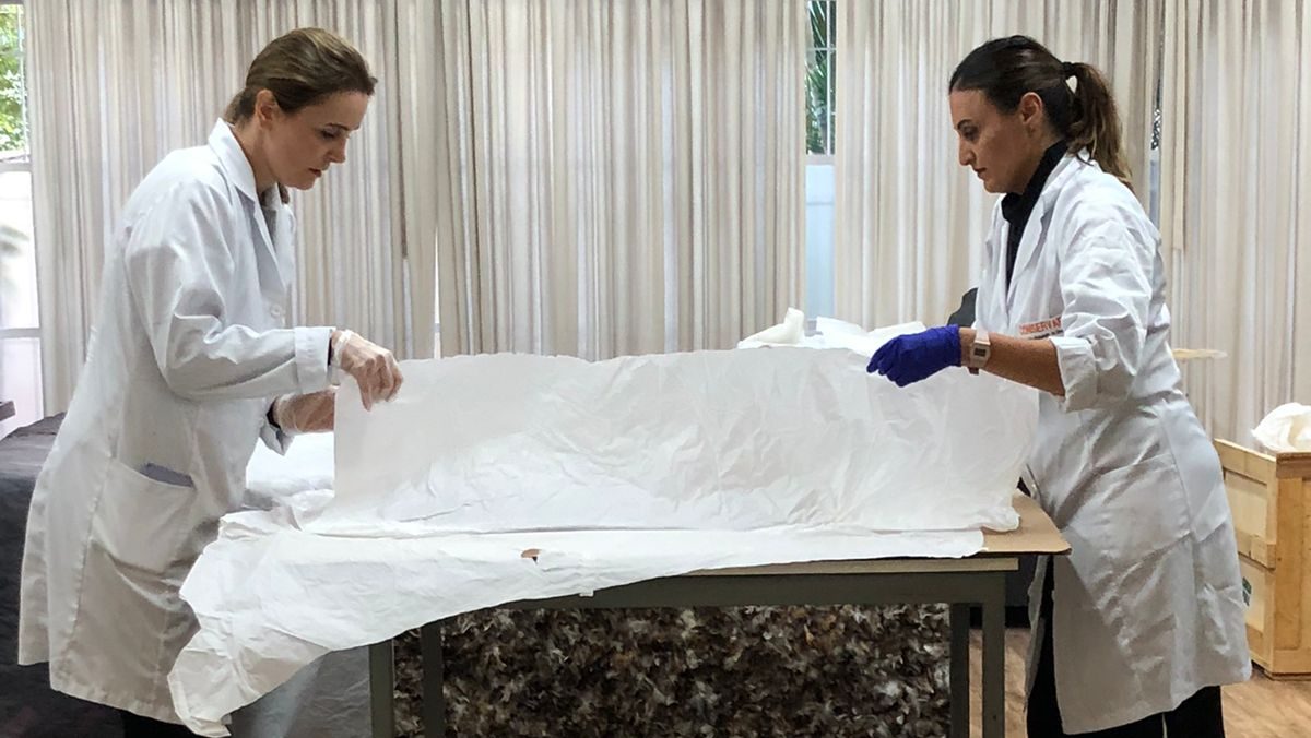 Conservadoras falam dos cuidados com a coleção de arte